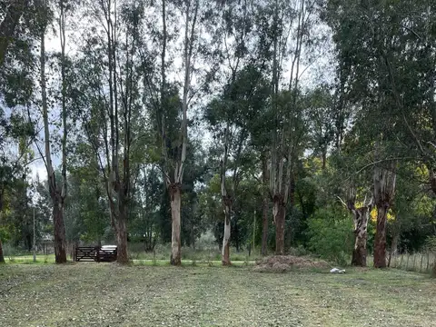 Terreno en Venta de 3000,0 m2