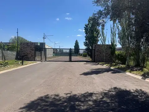 Araoz 900