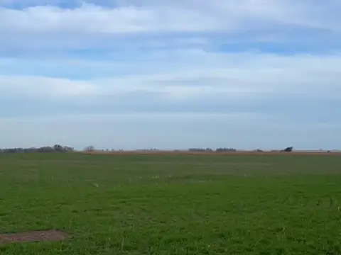 Campo en Venta Agricola