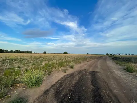 Campo en Venta Agricola