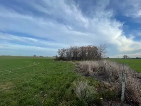 Campo en Venta de 30  ha