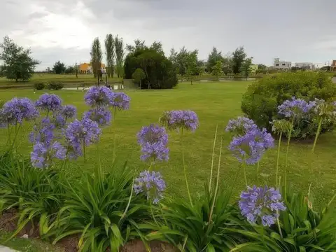 Terreno en Venta de 800,0 m2