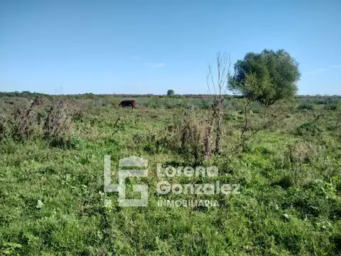 Campo en Entre Rìos