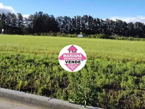 Terreno en Venta de 1000,0 m2