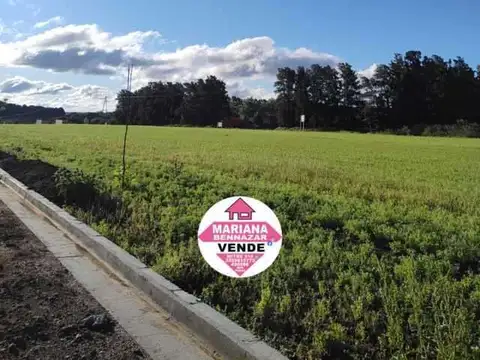 Terreno en Venta de 1000,0 m2
