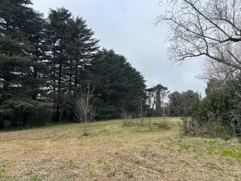 Galpon en Venta en Chivilcoy, USD 750.000