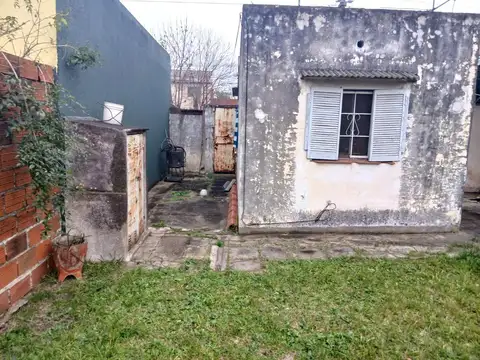 Chanas 1500