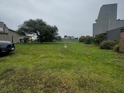 Terreno en Venta de 80501,0 m2