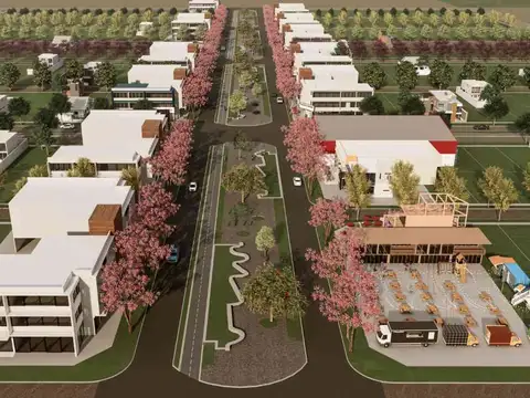 2 Lotes en Vistalba Ricardone