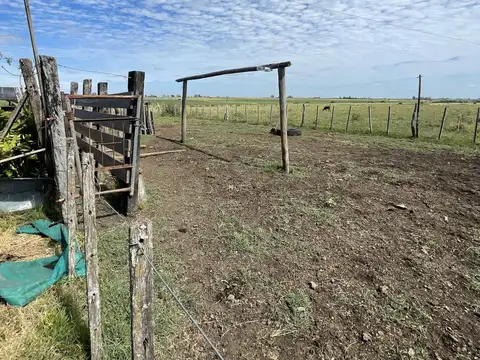 Campo en venta