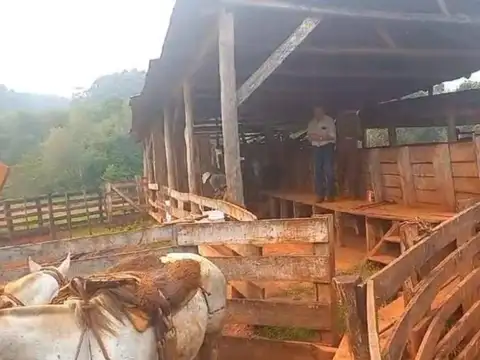 Campo en venta - 2.400 Hectáreas - Misiones