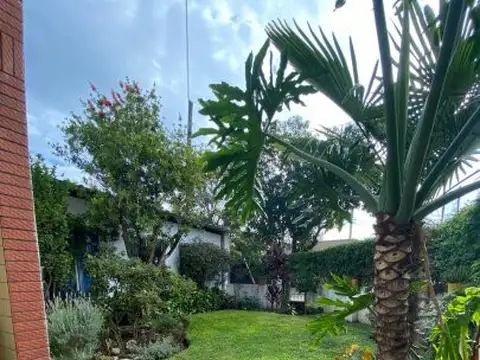 Lisando de la Torre 2794