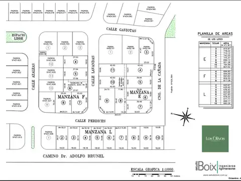 Gaviotas Barrio Los Olivos