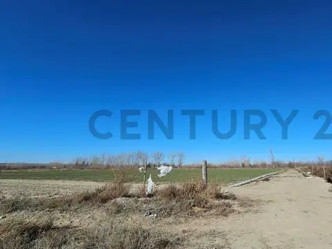 FINCA EN VENTA | 2 HECTÁREAS | TUPUNGATO, MENDOZA