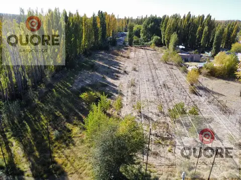 Hectárea en venta 9.600m2 en Plottier