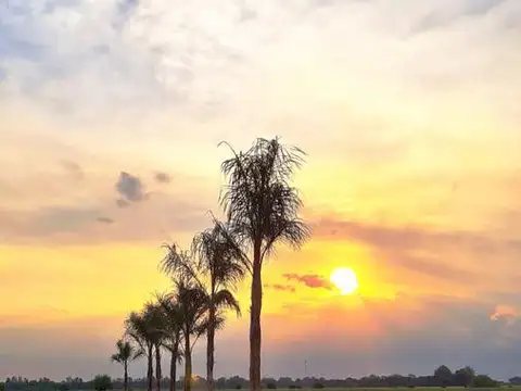 Terreno en Venta en Altos de Los Cardale, USD 29.000