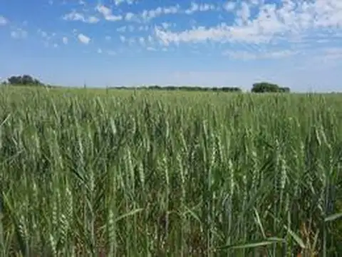 Terreno - Altos de Los Cardales