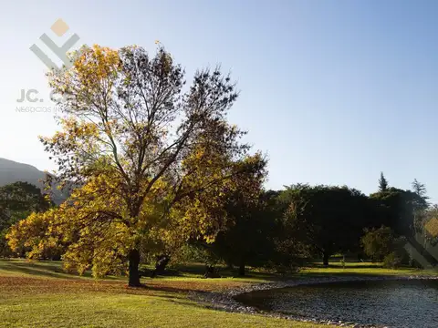PARQUES DE SAN LORENZO