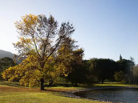 Terreno en Venta de 2386,0 m2