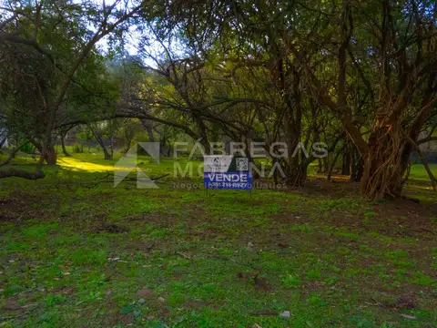 Terreno en Venta de 1000,0 m2
