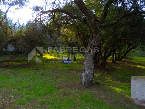 Venta! Lote en La Pakana! Pendiente 75 % plano!