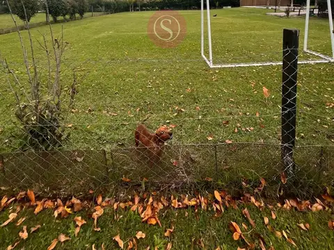 Terreno Lote  en Venta en Los Jazmines, Pilar del Este, Pilar