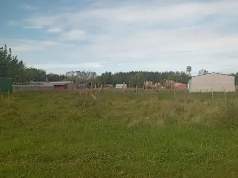 c.16