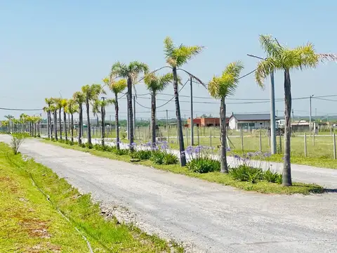 Terrenos en venta en el barrio El Lazo Capilla del Señor