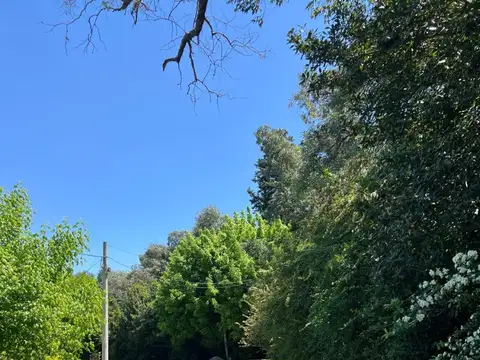 Terreno en Venta 60  mts Fondo