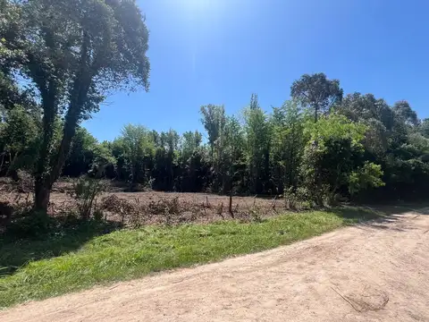 Terreno en Venta 20  mts Frente