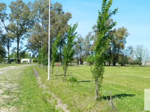 Los Retoños