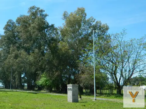Los Retoños