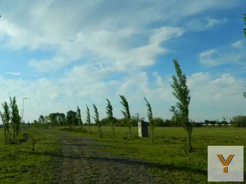 Terreno en Venta de 2000,0 m2