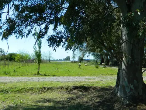 Terrenos en venta - 2.000Mts2 - Los Retoños, Luján