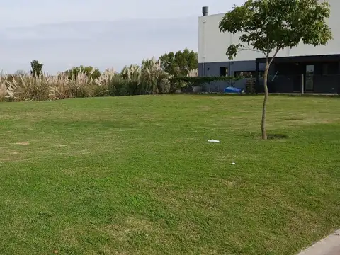 Terreno en Venta 16  mts Frente