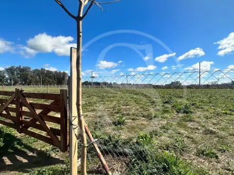 Terreno en Venta de 1500,0 m2