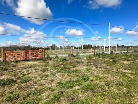 Rio Sauce Grande 100