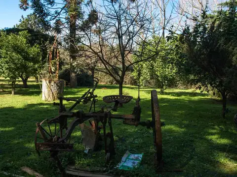 Quinta en Venta en Florencio Varela, USD 90.000