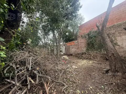 Casas para refaccionar en venta en Vicente Lopez