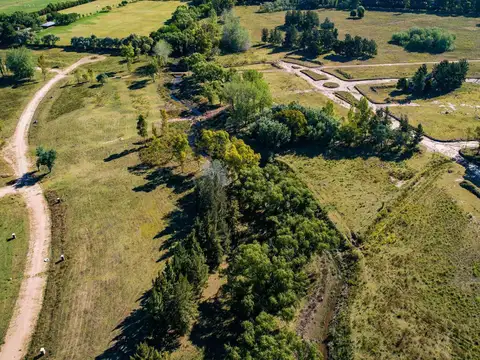 Azzurra Tortugas | Pilar, Buenos Aires