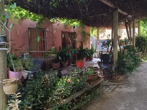Finca con parral y ciruelos en San Martin