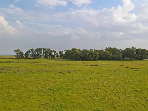 Olavarria - 787 ha. Ganadero