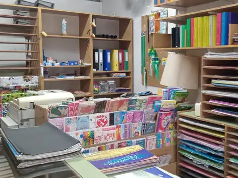 Gobernador Marcelino Ugarte 3100