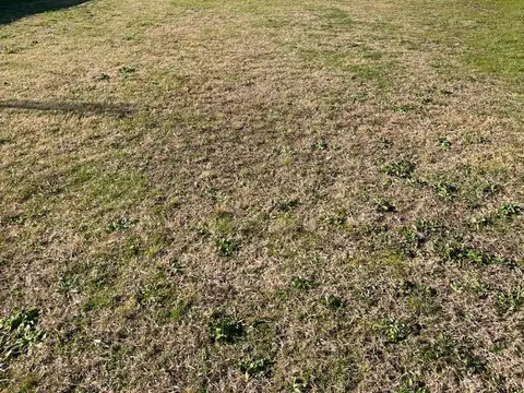 Gobernador Udaondo, La Horqueta