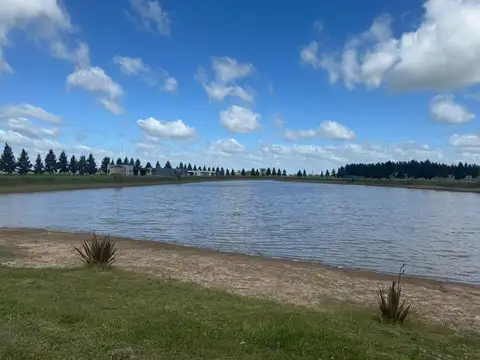 Terreno en  Campo de Roca 2