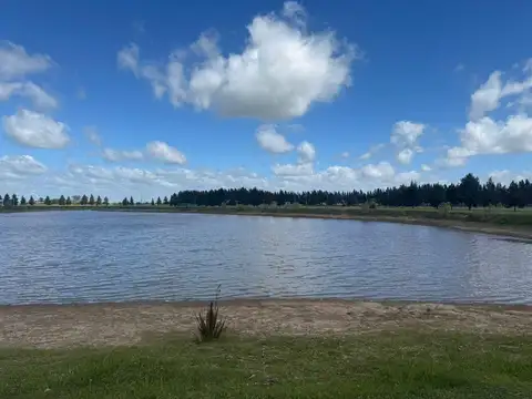 Terreno en Venta 50  mts Fondo