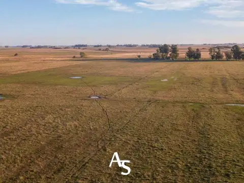Campo en Venta Ganadero