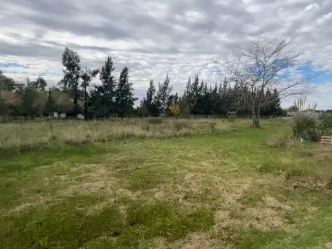 Terreno en CALLE 498 ENTRE 226 Y 229 ABASTO