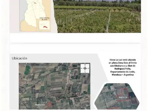 VENTA FINCA EN RODRIGUEZ PEÑA JUNIN