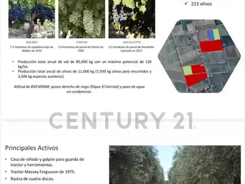 Callejón Peralta , Piso 0